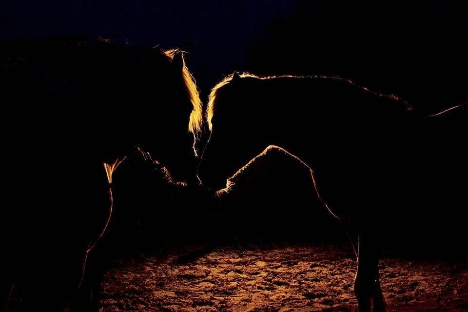 Night photography tips: 07 Focus manually