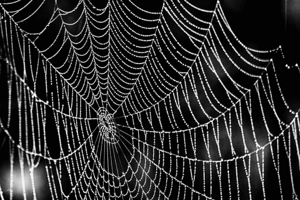 Autumn photography: 02 Get in close