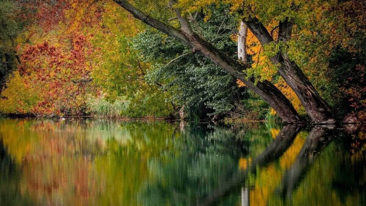 Autumn photography: 08 Reflections