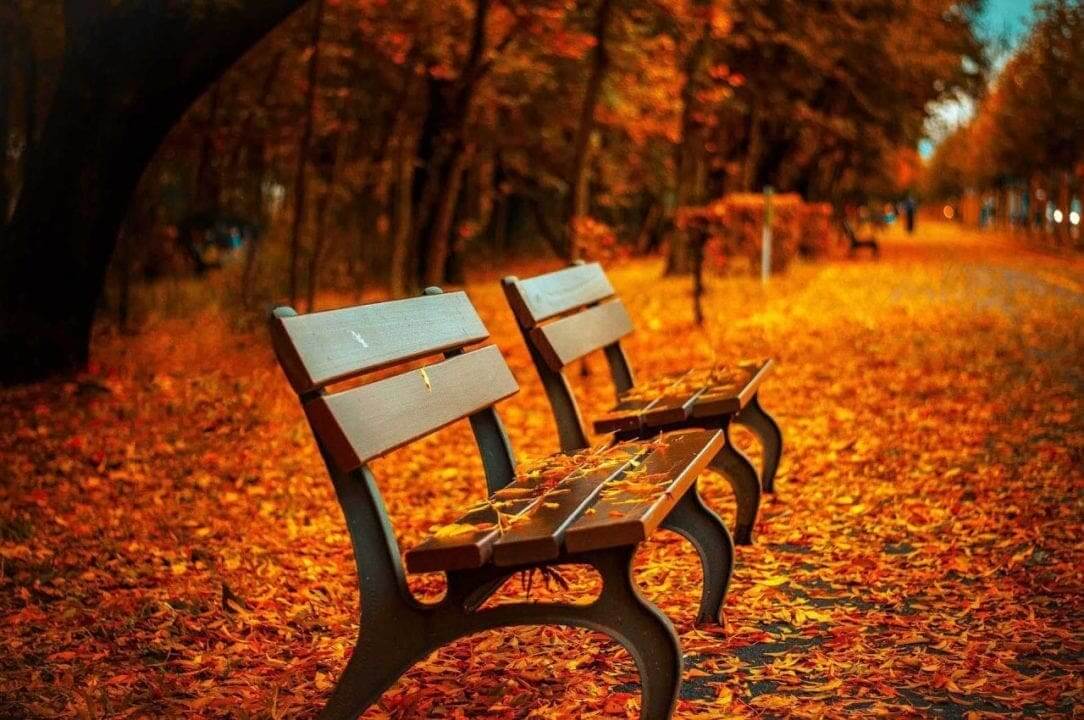Autumn photography: 07 Make the most of the background