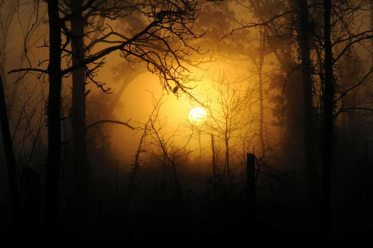 Autumn photography: 06 Shoot the sky at night