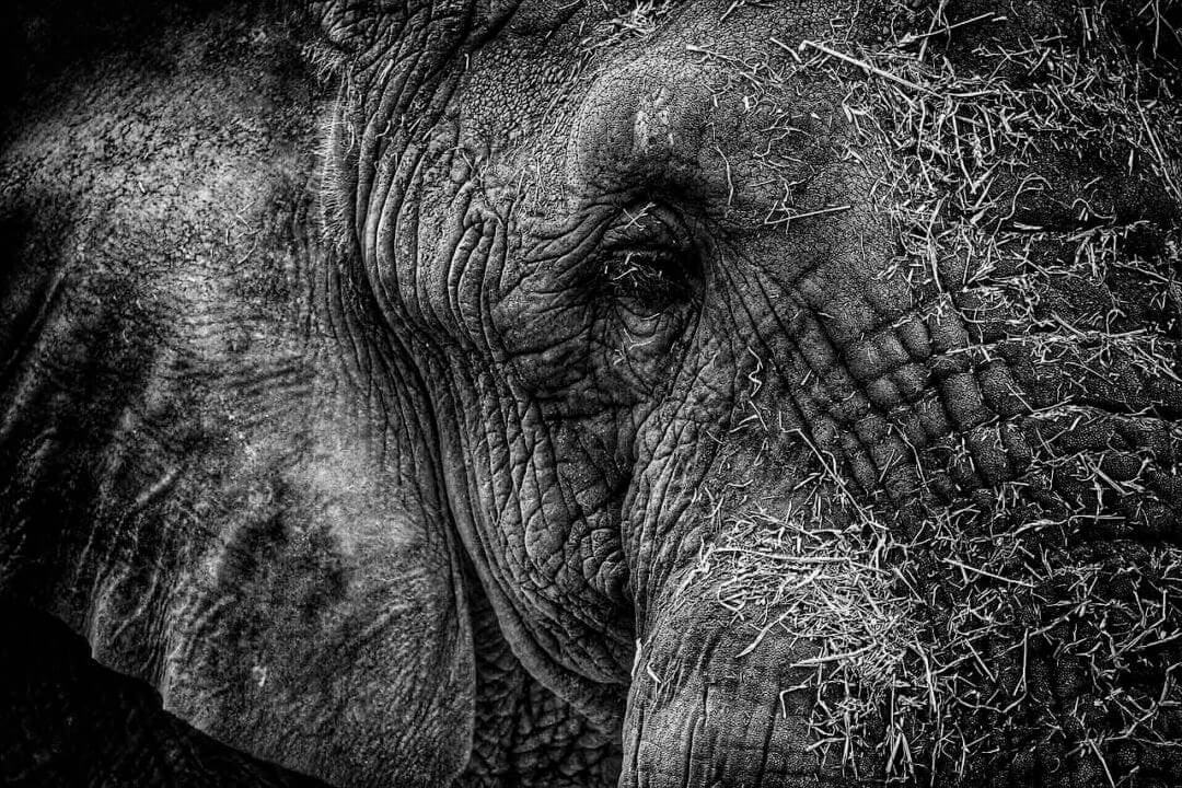 Black and white photography tips: 02 Textures and shapes