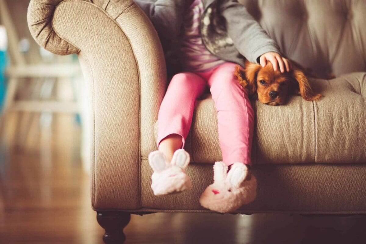 Family portrait ideas: 08 Hit the sofa