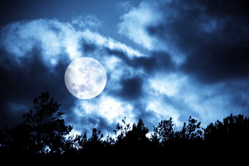 03 Shoot the moon