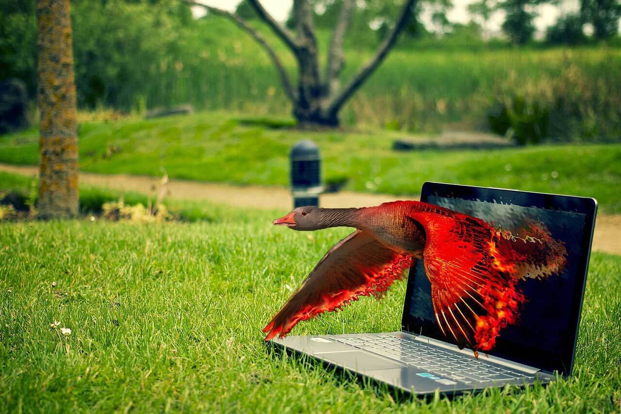 Common Photoshop errors: Dodgy composites