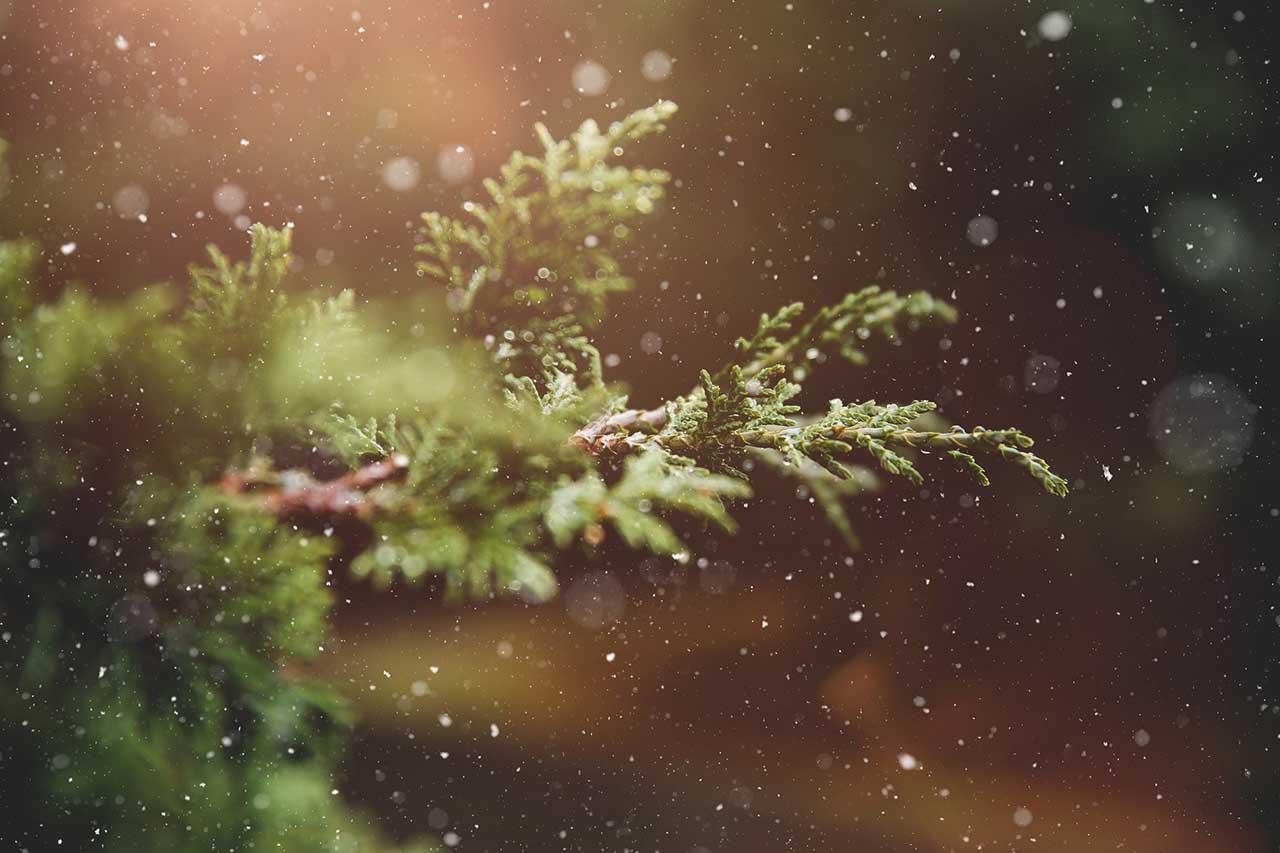 Winter photography: 02 Protect your gear… but don’t forget about yourself