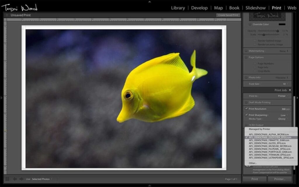 colour management in Lightroom