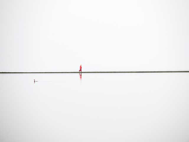 Monk on West Kirby Marine Lane - Craig Easton/tpoty.com