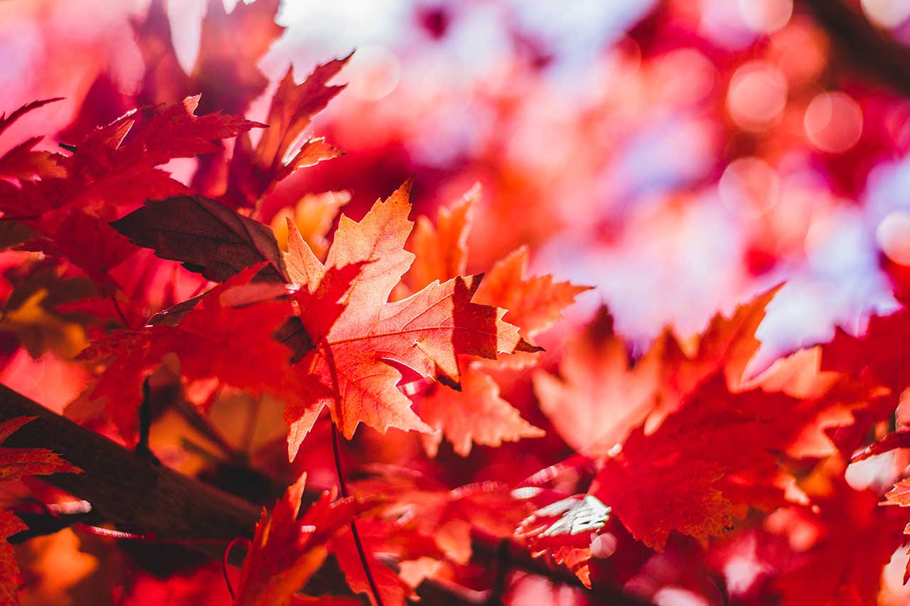 Landscape photography ideas: 07 Look for a single colour