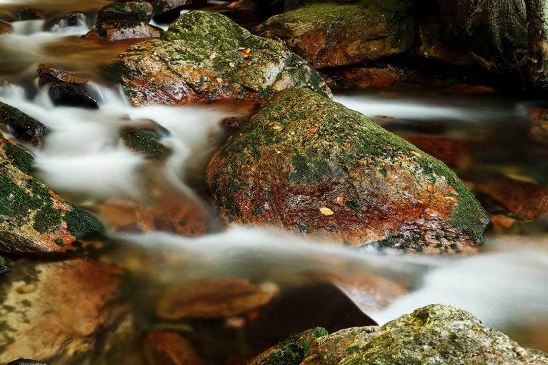 How to photograph movement with blur: a beginner’s quick-start guide