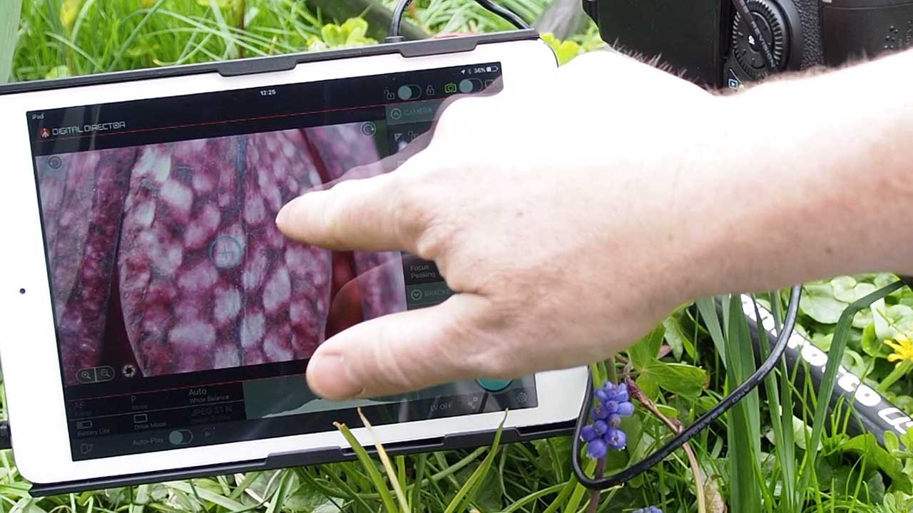 Manfrotto Digital Director in use