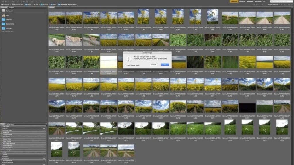 Rejecting, rating and filtering images in Adobe Bridge