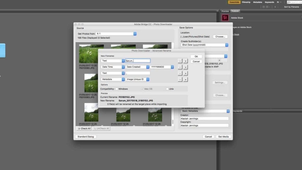 Download and organise your images