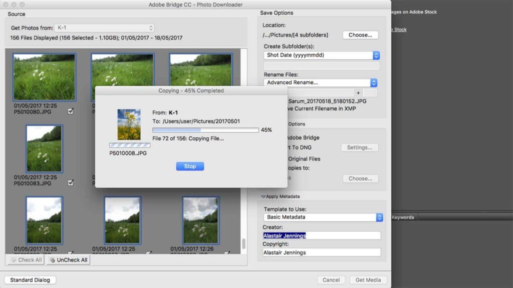 Download and organise your images