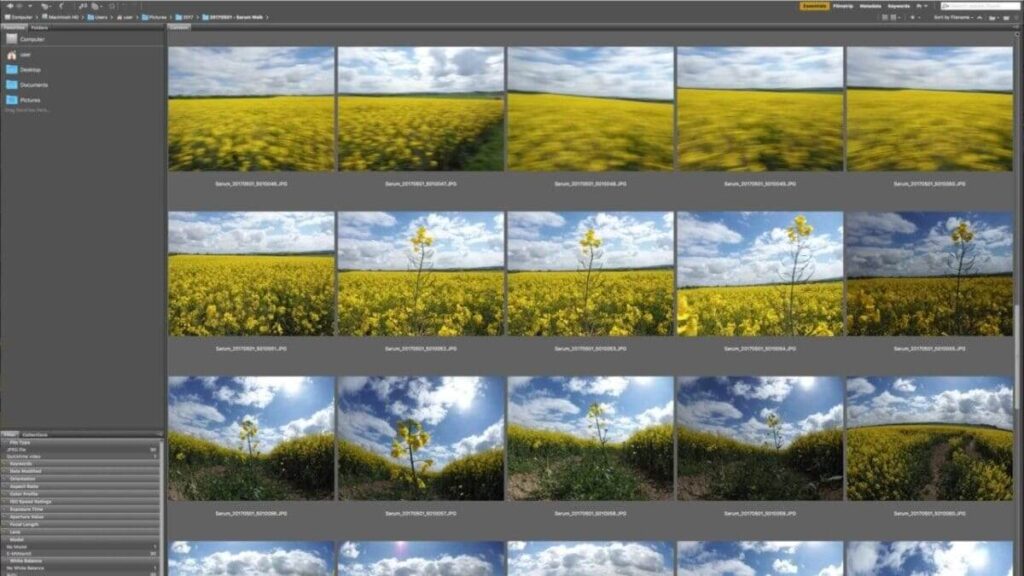 Download and organise your images