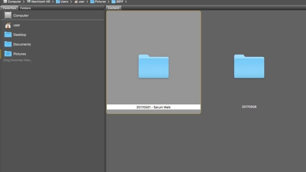 Download and organise your images