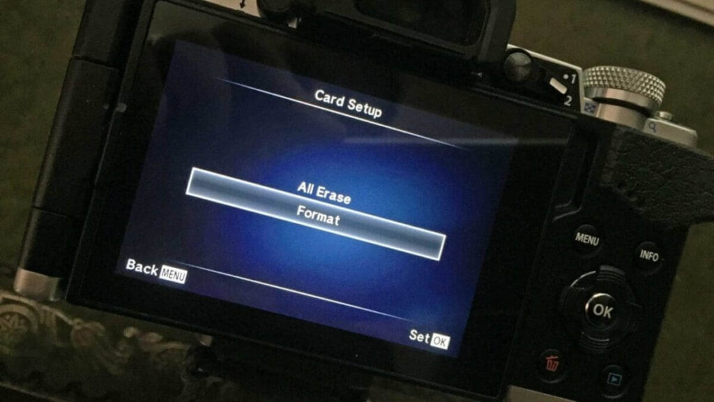 Download and organise your images
