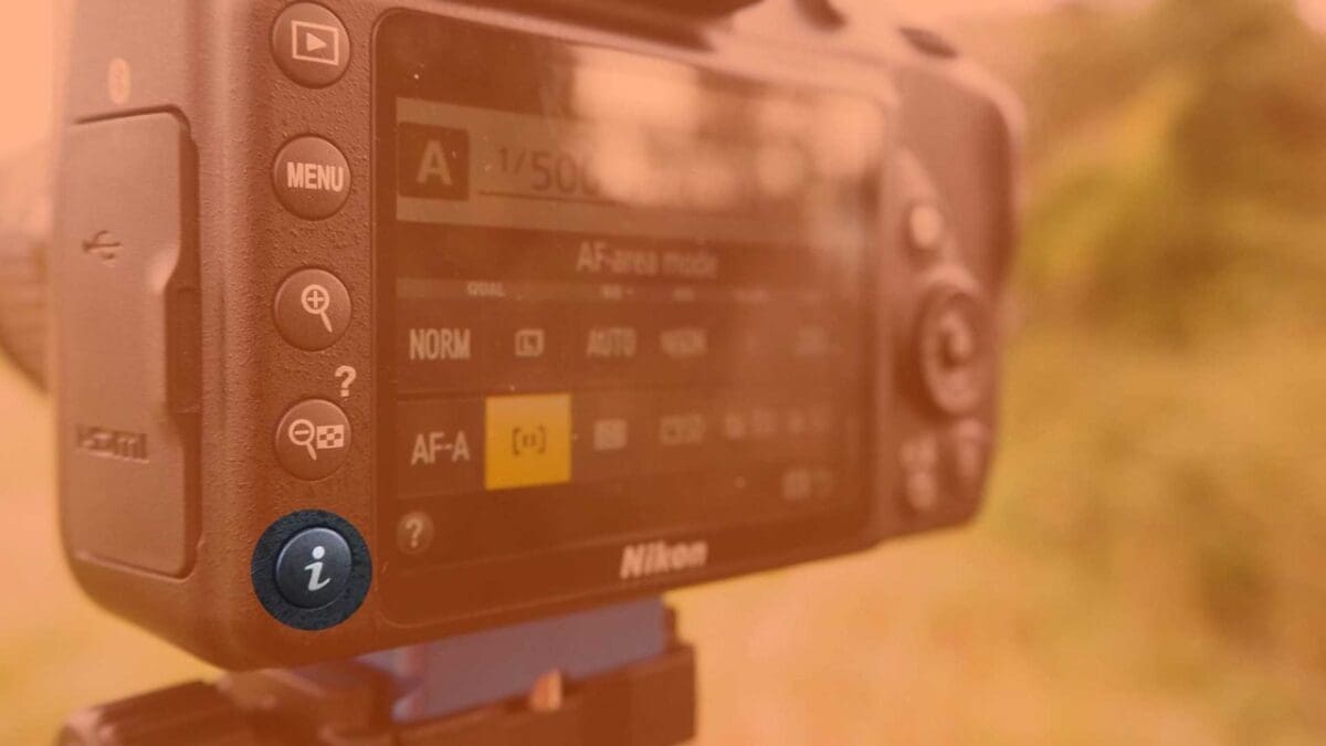 How to set the Nikon D3400 focus mode