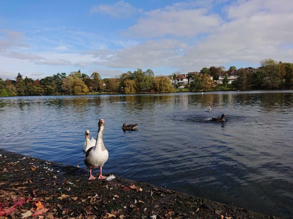 Sony Xperia XZ1 camera review: sample images