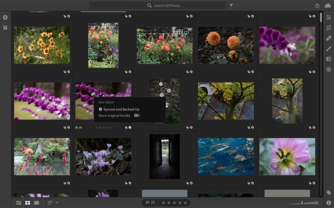 Lightroom CC vs Lightroom Classic: editing