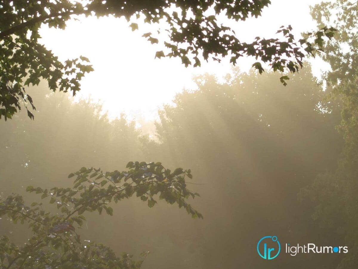 What type of photographer do you feel would be best suited to the Light L16 camera?