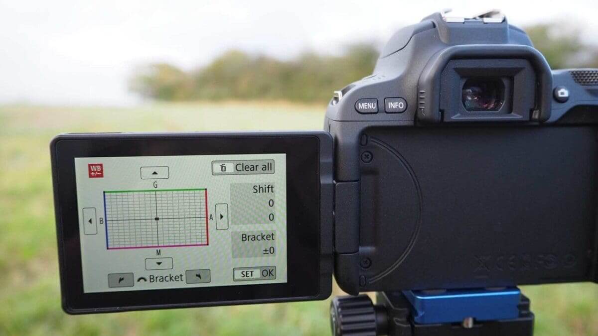 Correcting white balance for specific tones