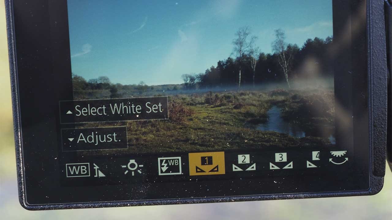 Panasonic GH5S White Balance