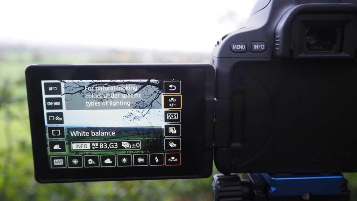 Setting a cuSetting a custom white balance in the Canon EOS 200D / Rebel SL2 in Standard Menustom white balance in the Canon 200D / Rebel SL2 