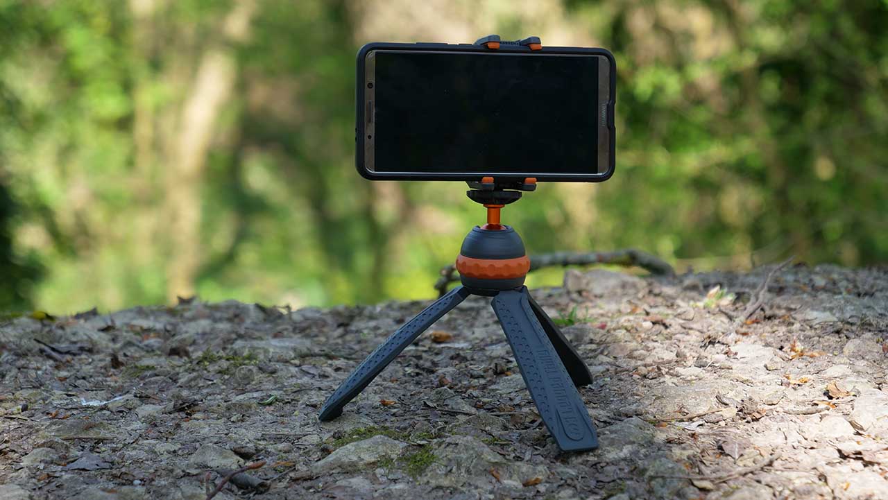 3 Legged Thing Iggy review