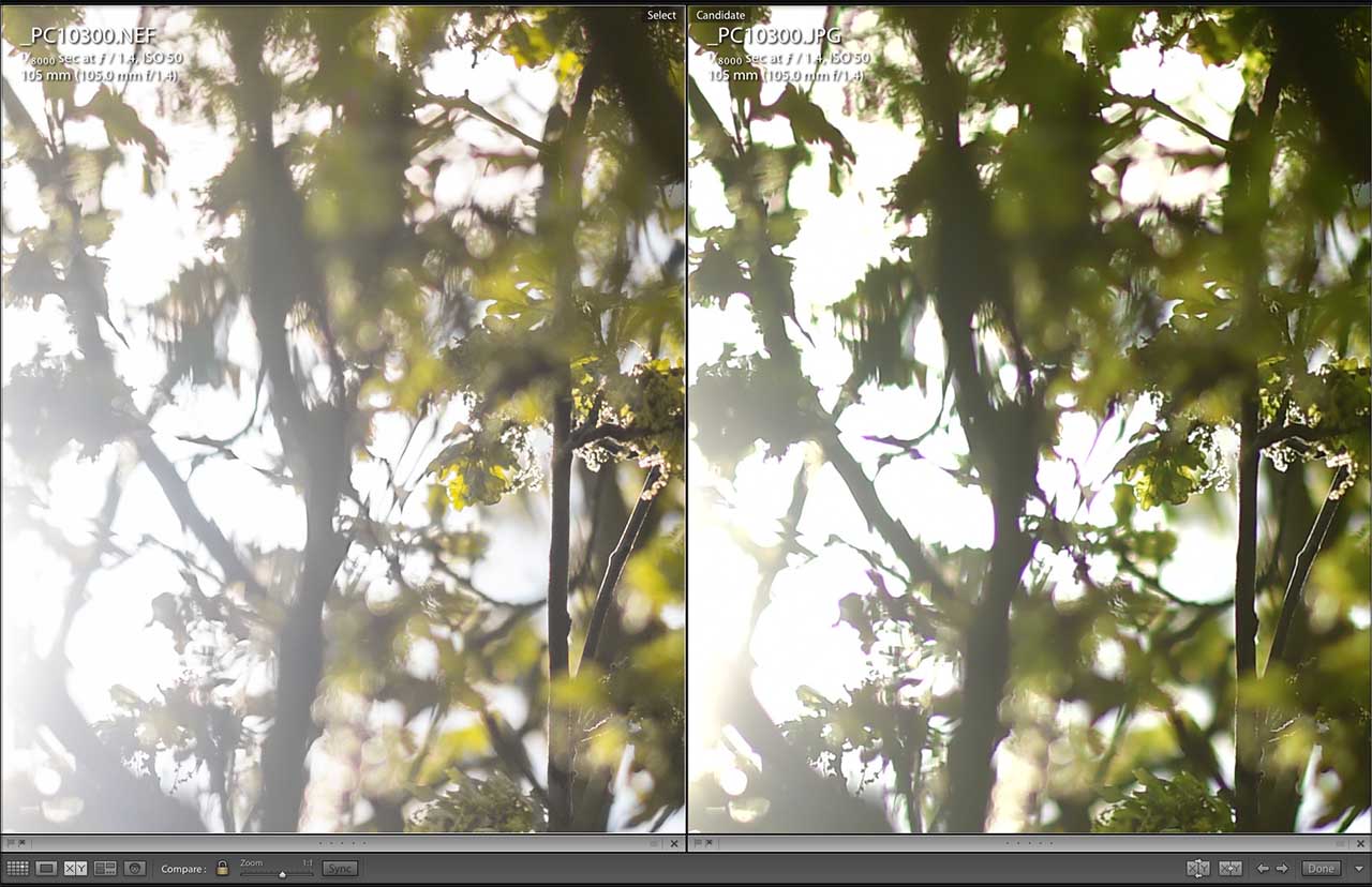 Nikon 105mm f/1.4E ED review: sample photos    