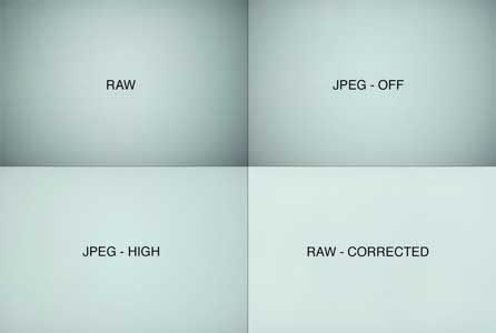 Nikon 105mm f/1.4E ED review: sample photos    