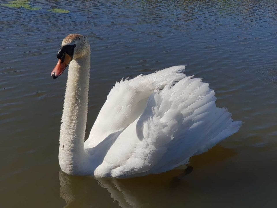 Samsung S9+ camera review: sample photos