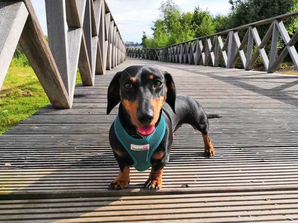 Honor 10 Sample Photos