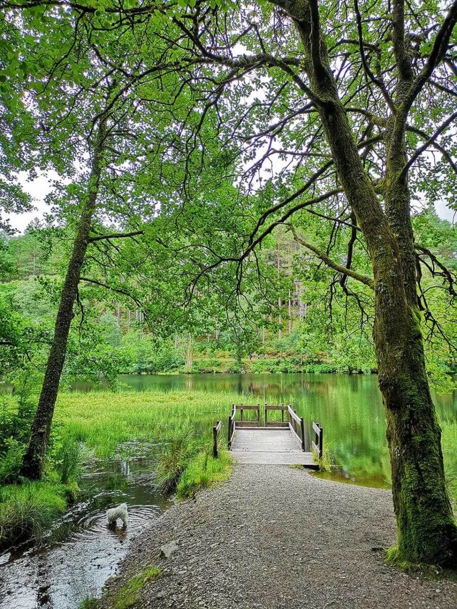 Shooting landscapes with P20 Pro