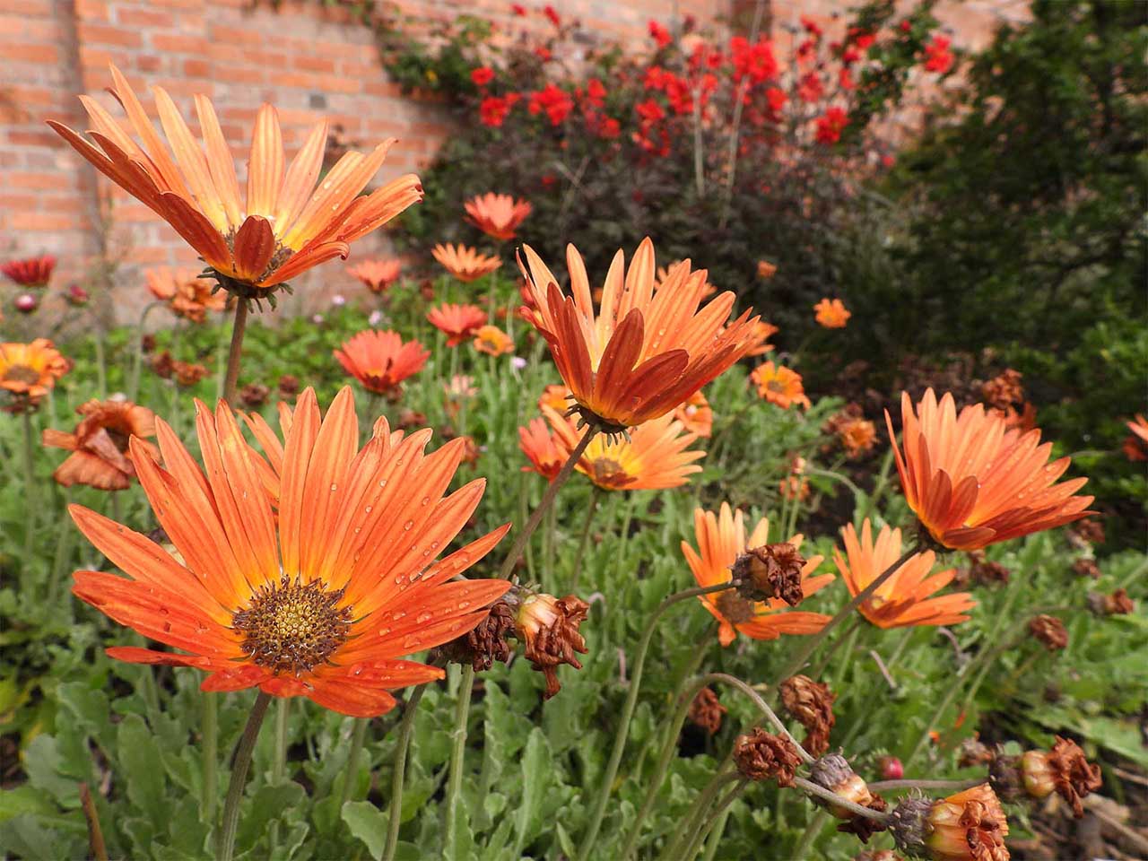 Nikon P1000 Review: sample photos