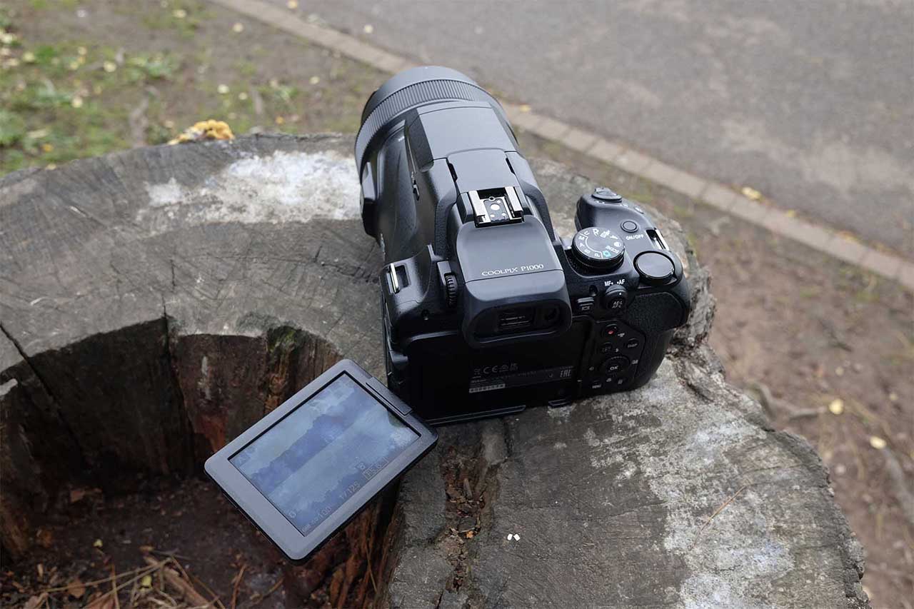 Nikon P1000 Review: performance