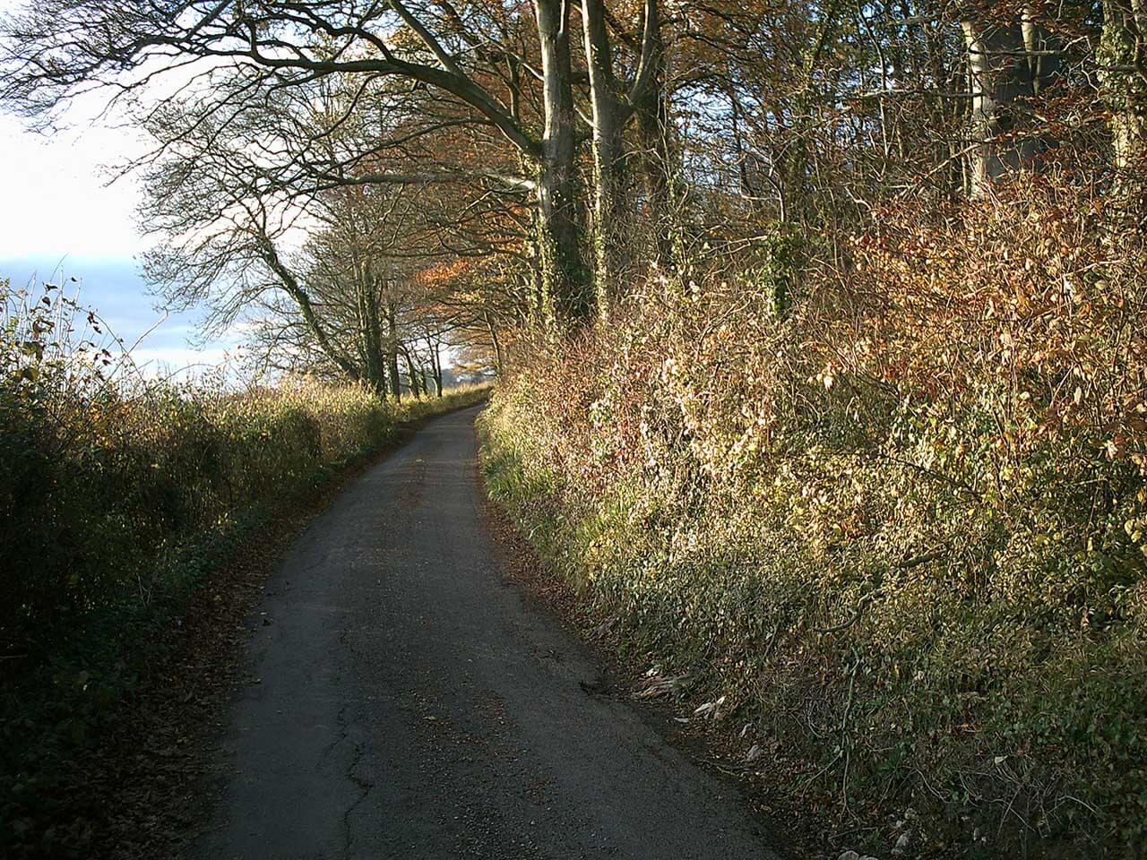 Yashica digiFilm Camera Y35 review: sample photos