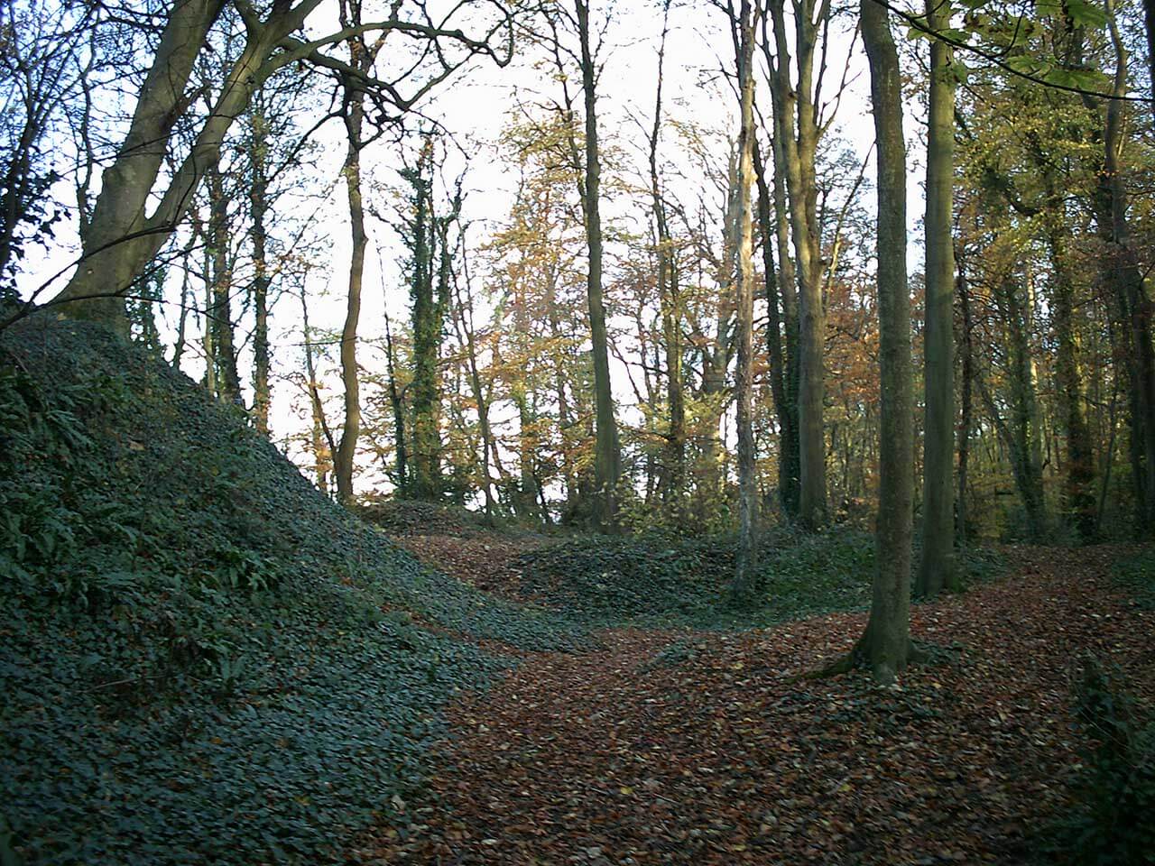 Yashica digiFilm Camera Y35 review: sample photos