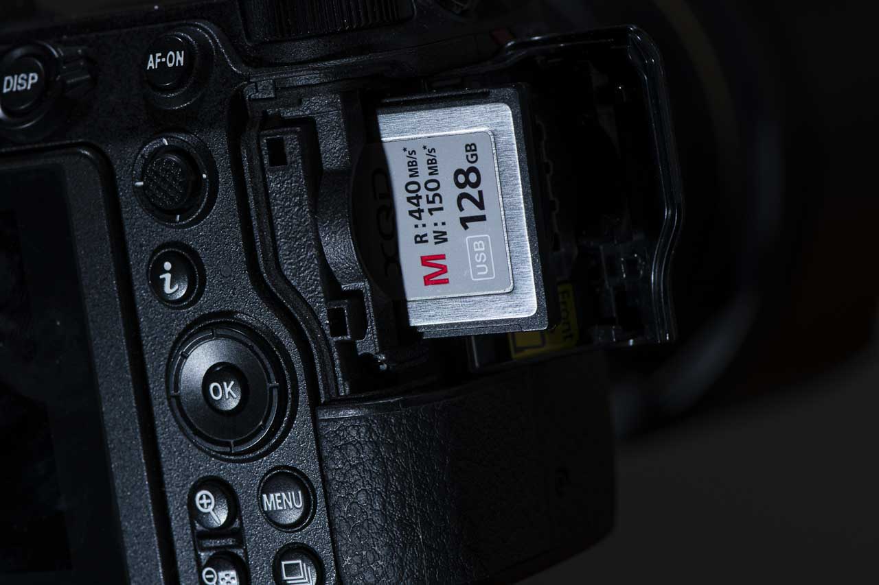 Best cameras for wildlife photography