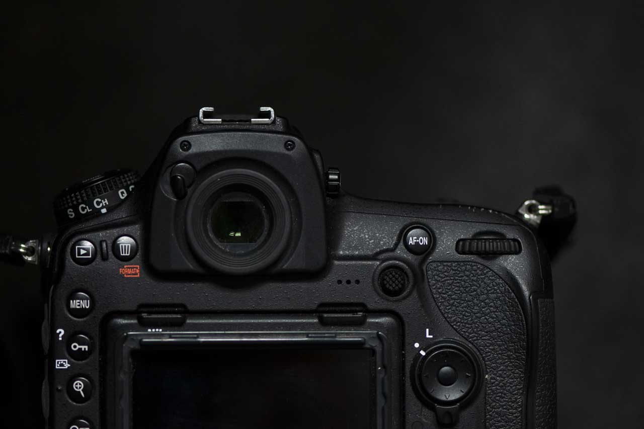 Best cameras for wildlife photography