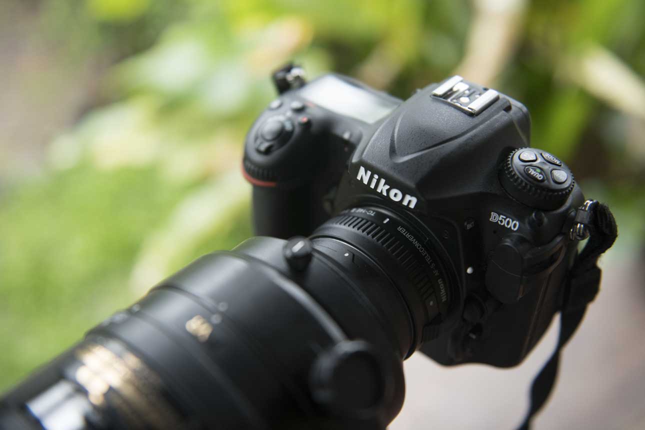 DSLR or mirrorless for Wildlife Photography?