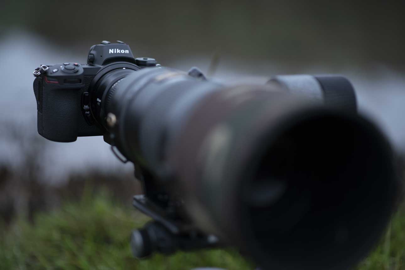 DSLR or mirrorless for Wildlife Photography?