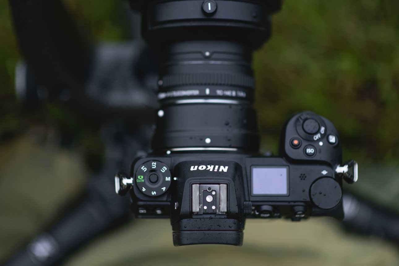 DSLR or mirrorless for Wildlife Photography?
