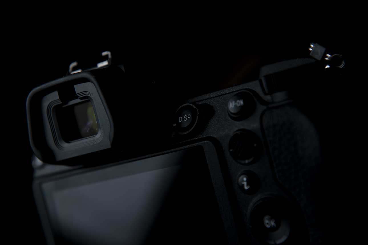 DSLR or mirrorless for Wildlife Photography?
