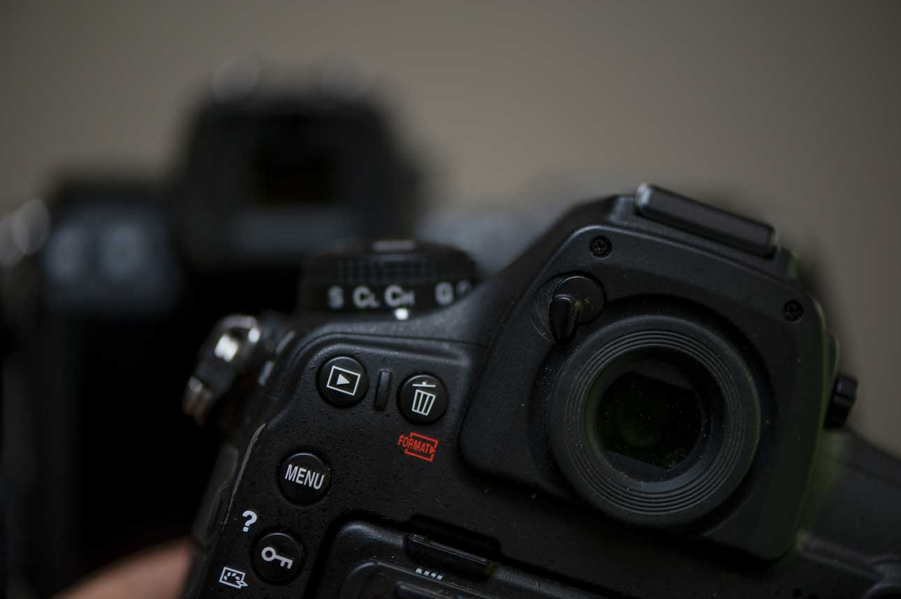 DSLR or mirrorless for Wildlife Photography?
