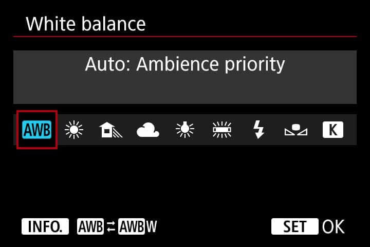 What are the white balance settings on my camera?