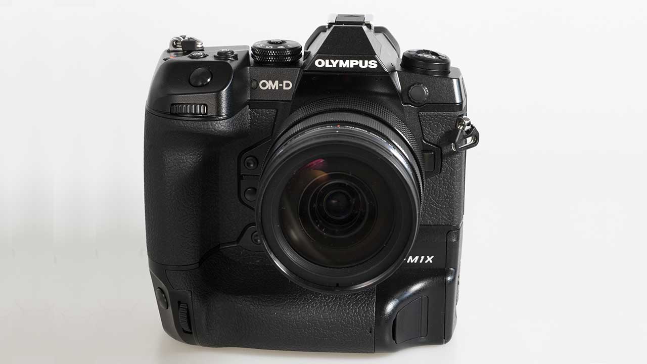 Best Cameras for Wildlife Photography