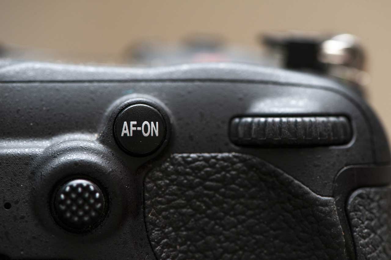 How to photograph birds with a Nikon camera
