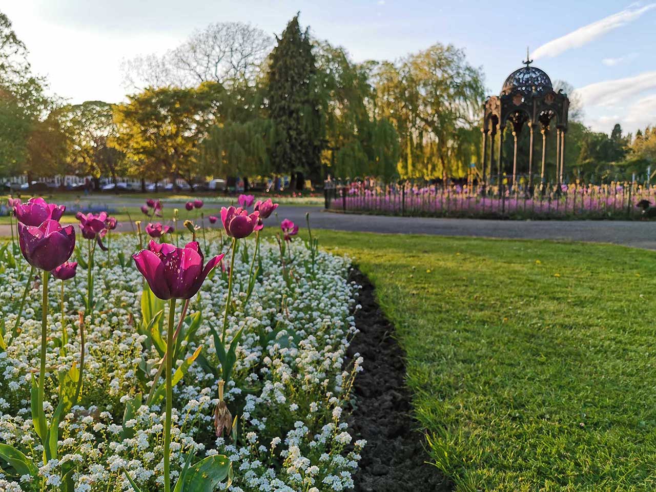Huawei P30 Pro vs Honor View 20: sample photos