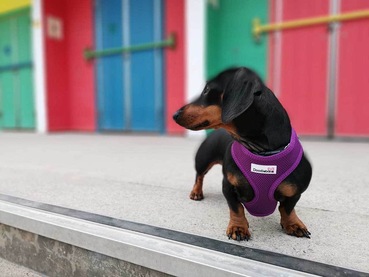 Huawei P30 Pro vs Honor View 20: sample photos